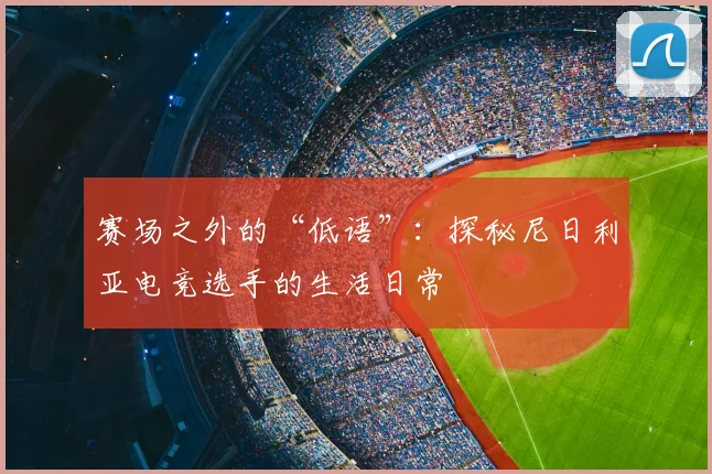 赛场之外的“低语”：探秘尼日利亚电竞选手的生活日常