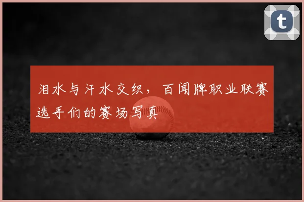泪水与汗水交织，百闻牌职业联赛选手们的赛场写真